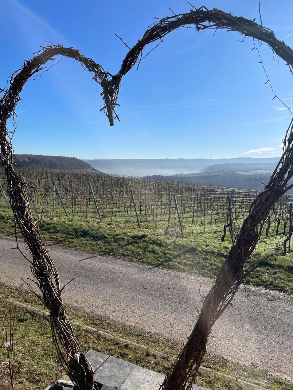 Fewo Waldblick - Urlaub Im Wein & Ferienort Bekond Ngoại thất bức ảnh
